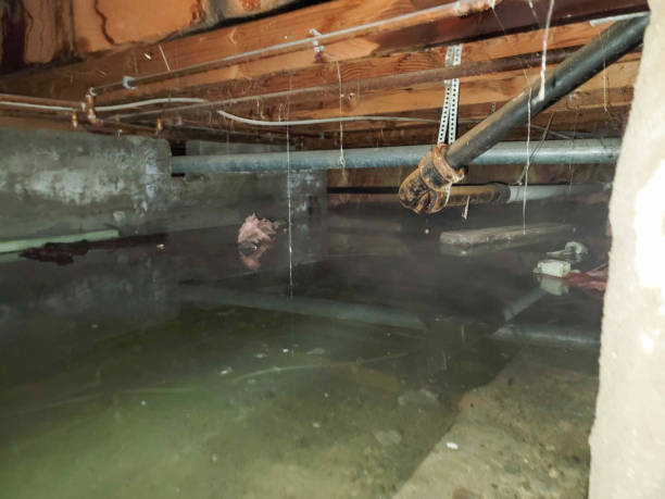 Storm and Flood Water Damage Restoration